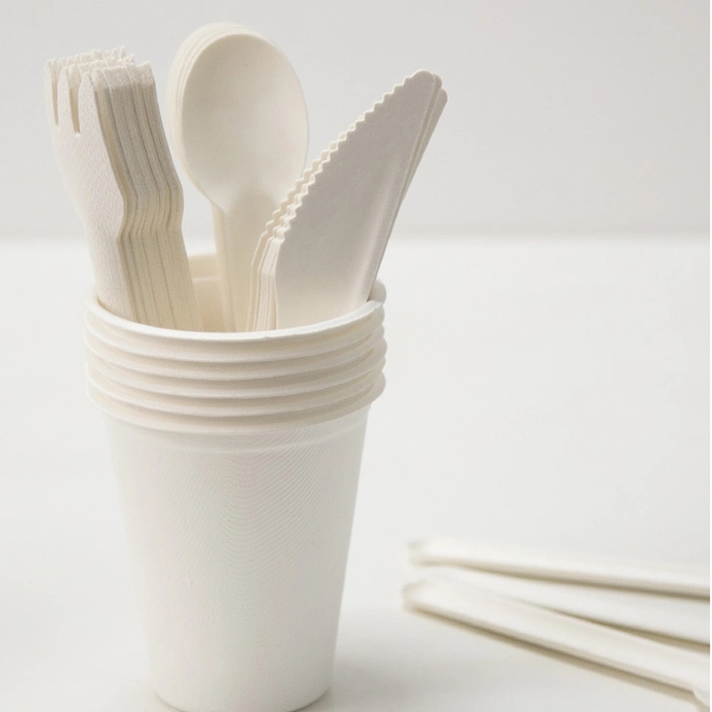 Bagasse cutlery